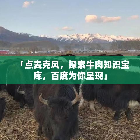 「點麥克風，探索牛肉知識寶庫，百度為你呈現(xiàn)」