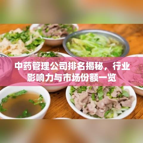 中藥管理公司排名揭秘，行業(yè)影響力與市場份額一覽