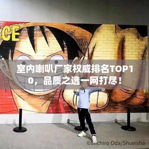 室內(nèi)喇叭廠家權(quán)威排名TOP10，品質(zhì)之選一網(wǎng)打盡！