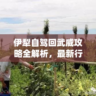 伊犁自駕回武威攻略全解析，最新行程推薦