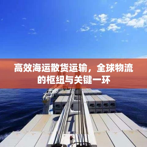 高效海運散貨運輸，全球物流的樞紐與關(guān)鍵一環(huán)