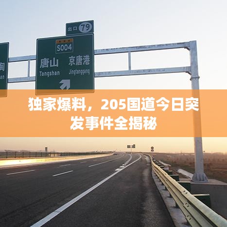 獨家爆料，205國道今日突發(fā)事件全揭秘