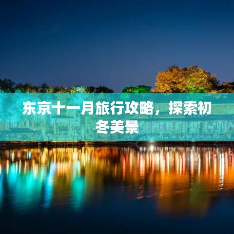 東京十一月旅行攻略，探索初冬美景