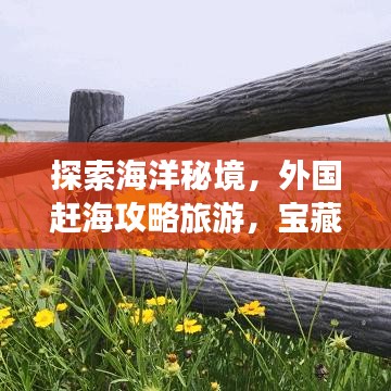 探索海洋秘境，外國趕海攻略旅游，寶藏之旅開啟！