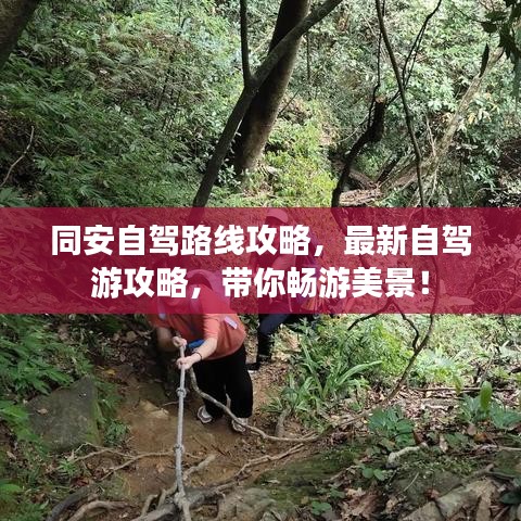同安自駕路線攻略，最新自駕游攻略，帶你暢游美景！
