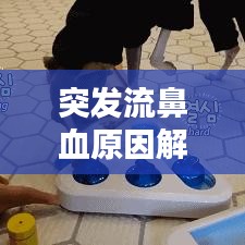 突發(fā)流鼻血原因解析，處理及預(yù)防措施全攻略