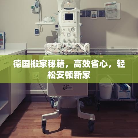 德國搬家秘籍，高效省心，輕松安頓新家