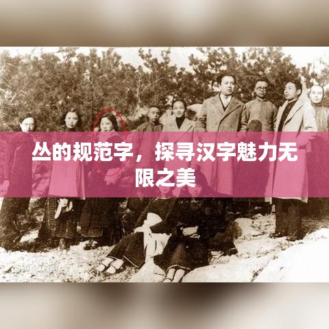叢的規(guī)范字，探尋漢字魅力無限之美