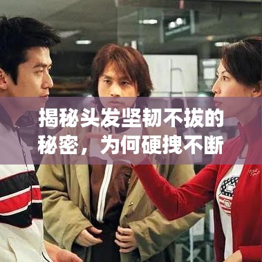 揭秘頭發(fā)堅韌不拔的秘密，為何硬拽不斷？