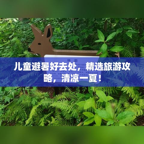 兒童避暑好去處，精選旅游攻略，清涼一夏！