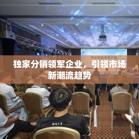 獨(dú)家分銷領(lǐng)軍企業(yè)，引領(lǐng)市場(chǎng)新潮流趨勢(shì)