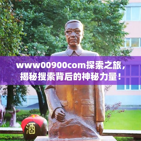 www00900com探索之旅，揭秘搜索背后的神秘力量！