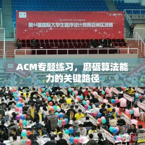 ACM專題練習，磨礪算法能力的關鍵路徑