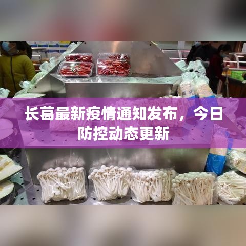 長(zhǎng)葛最新疫情通知發(fā)布，今日防控動(dòng)態(tài)更新
