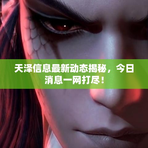 天澤信息最新動態(tài)揭秘，今日消息一網(wǎng)打盡！