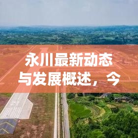氧氣袋 第71頁