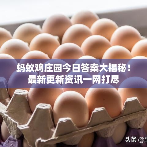螞蟻雞莊園今日答案大揭秘！最新更新資訊一網(wǎng)打盡