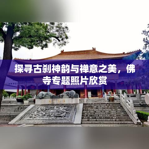 探尋古剎神韻與禪意之美，佛寺專題照片欣賞