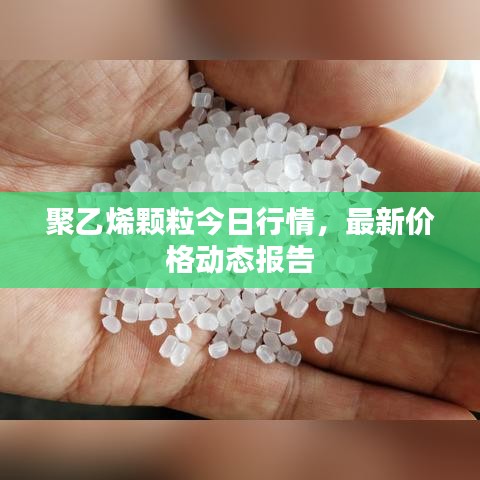 聚乙烯顆粒今日行情，最新價格動態(tài)報告