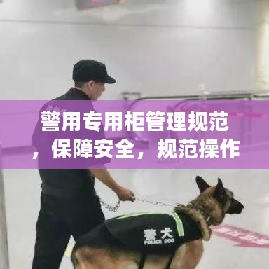 警用專用柜管理規(guī)范，保障安全，規(guī)范操作，提升警務效率