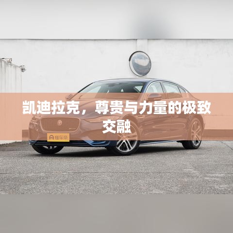 凱迪拉克，尊貴與力量的極致交融