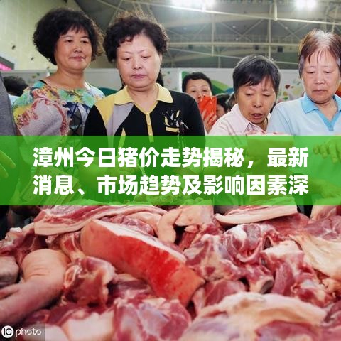 漳州今日豬價(jià)走勢(shì)揭秘，最新消息、市場(chǎng)趨勢(shì)及影響因素深度解析