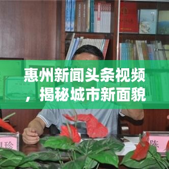 惠州新聞頭條視頻，揭秘城市新面貌，精彩內(nèi)容不容錯過
