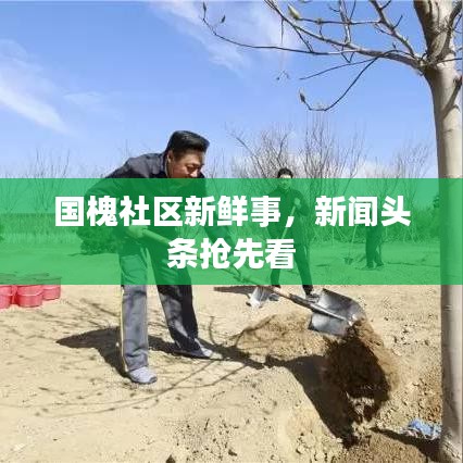 國槐社區(qū)新鮮事，新聞?lì)^條搶先看