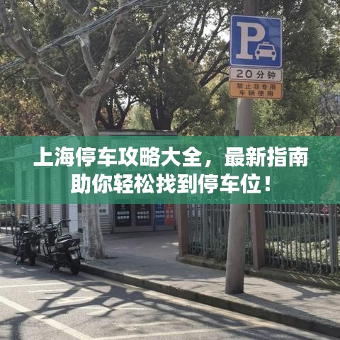上海停車攻略大全，最新指南助你輕松找到停車位！