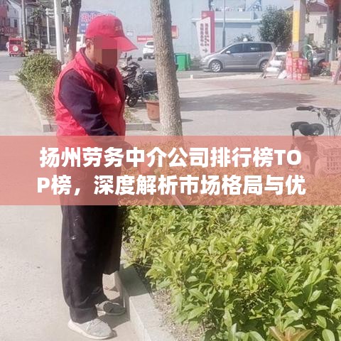 揚州勞務中介公司排行榜TOP榜，深度解析市場格局與優(yōu)質服務商！