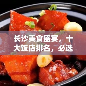 鋪張揚(yáng)厲 第2頁