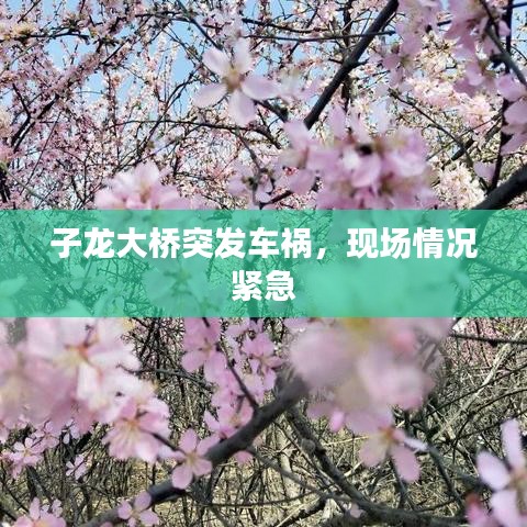 子龍大橋突發(fā)車禍，現(xiàn)場情況緊急