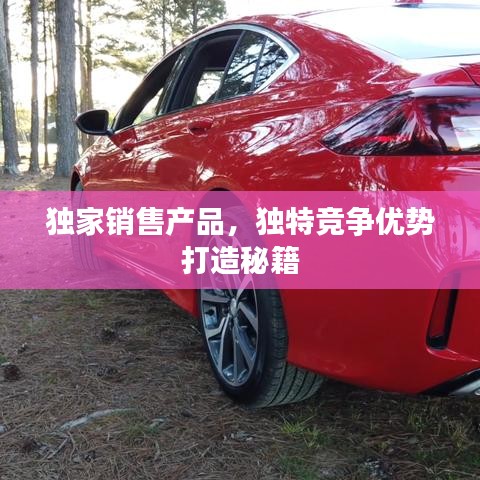 獨(dú)家銷(xiāo)售產(chǎn)品，獨(dú)特競(jìng)爭(zhēng)優(yōu)勢(shì)打造秘籍