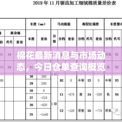 棉花最新消息與市場動(dòng)態(tài)，今日倉單查詢概覽
