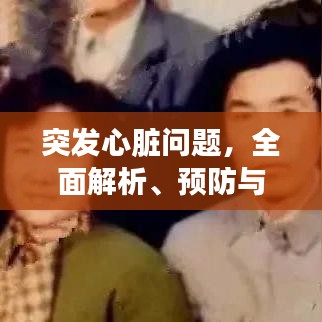 突發(fā)心臟問題，全面解析、預(yù)防與應(yīng)急處理方案