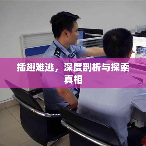 插翅難逃，深度剖析與探索真相