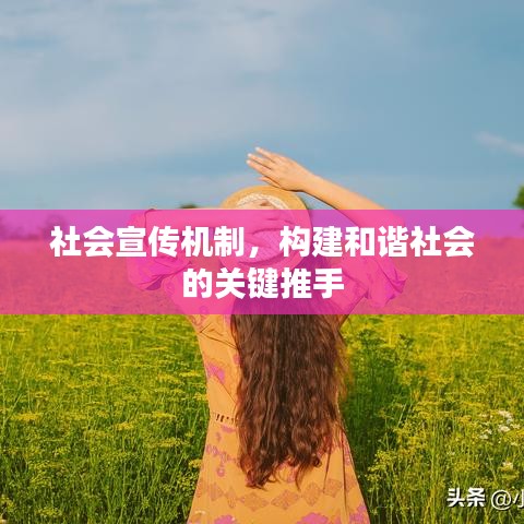 社會宣傳機(jī)制，構(gòu)建和諧社會的關(guān)鍵推手