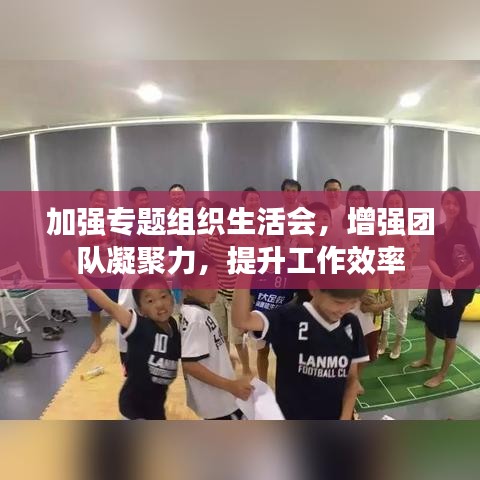 加強(qiáng)專題組織生活會(huì)，增強(qiáng)團(tuán)隊(duì)凝聚力，提升工作效率