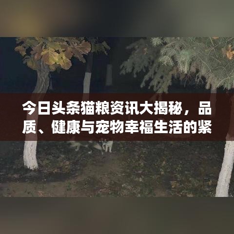 今日頭條貓糧資訊大揭秘，品質(zhì)、健康與寵物幸福生活的緊密關聯(lián)