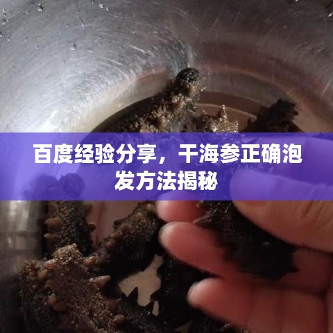 百度經(jīng)驗分享，干海參正確泡發(fā)方法揭秘