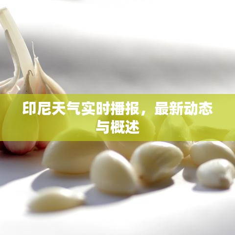 印尼天氣實(shí)時(shí)播報(bào)，最新動(dòng)態(tài)與概述