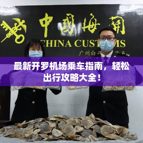 最新開羅機場乘車指南，輕松出行攻略大全！