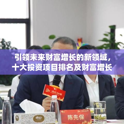 引領(lǐng)未來財富增長的新領(lǐng)域，十大投資項目排名及財富增長機(jī)會分析