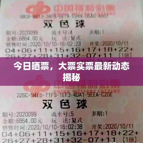 今日曬票，大票實(shí)票最新動態(tài)揭秘