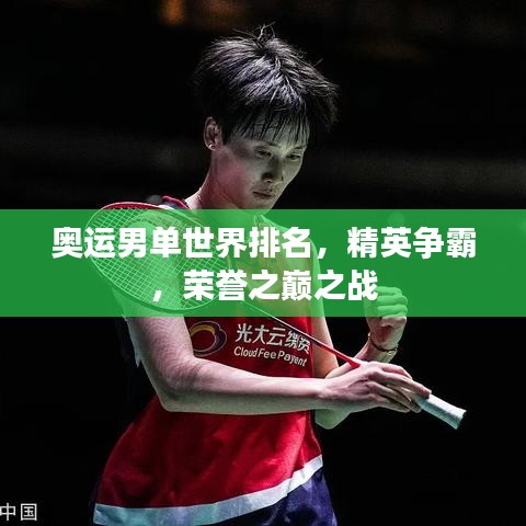 奧運(yùn)男單世界排名，精英爭(zhēng)霸，榮譽(yù)之巔之戰(zhàn)