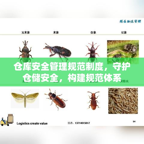 倉庫安全管理規(guī)范制度，守護倉儲安全，構建規(guī)范體系