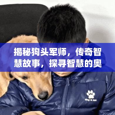 揭秘狗頭軍師，傳奇智慧故事，探尋智慧的奧秘