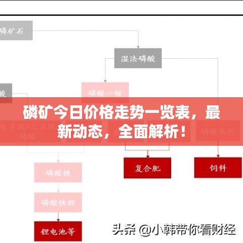 磷礦今日價格走勢一覽表，最新動態(tài)，全面解析！