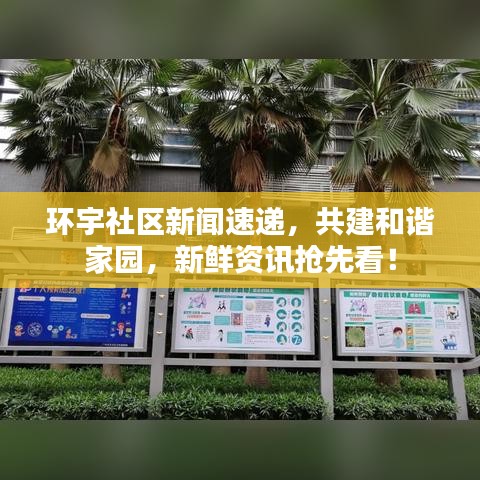 環(huán)宇社區(qū)新聞速遞，共建和諧家園，新鮮資訊搶先看！