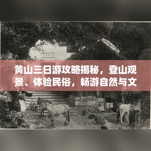 黃山三日游攻略揭秘，登山觀景、體驗民俗，暢游自然與文化的盛宴！